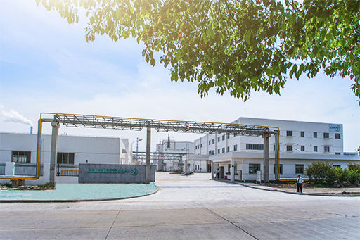 花王、中国上海市で化学製品の新工場が竣工