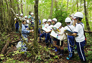 「花王・みんなの森づくり活動」2017年度助成対象団体を募集