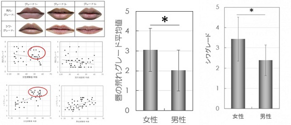 ロート製薬、加齢に伴う唇の変化に男女差を発見