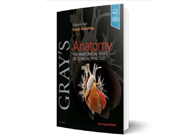 マンダム、汗腺研究が解剖学の定本「Gray's Anatomy」に掲載
