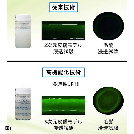 岩瀬コスファ、高機能化技術を用いたコメ由来原料を提案