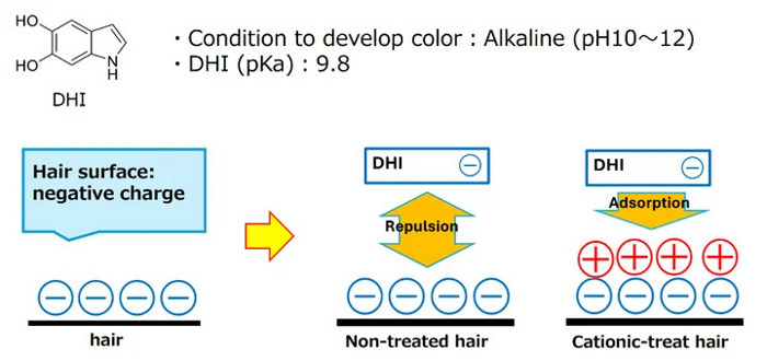 ロート製薬、染色性や多彩性に優れた新規ヘアカラーシステムを開発