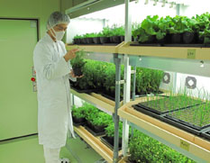 資生堂、掛川工場内で植物原料の生産に着手
